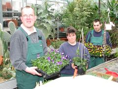 Drei Mitarbeiter haben Pflanzen in der Hand.